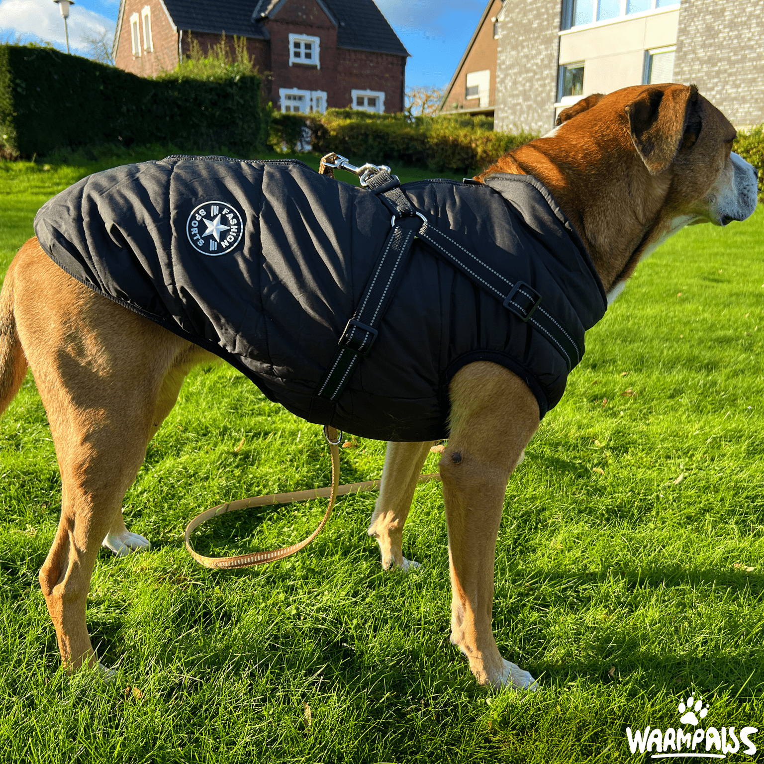 WARMPAWS - Der perfekte Winter Hundemantel mit integriertem Geschirr - WARMPAWS