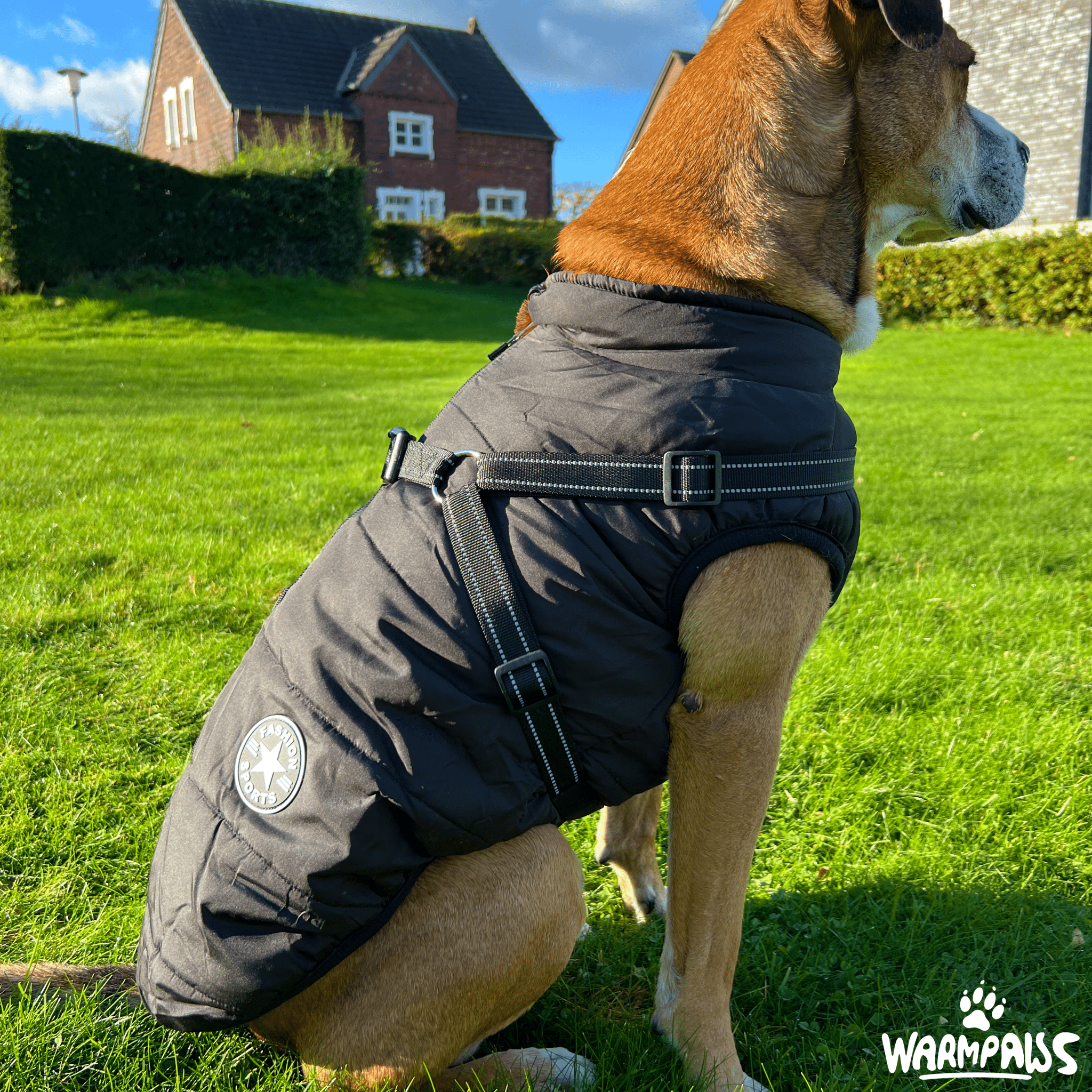 WARMPAWS - Der perfekte Winter Hundemantel mit integriertem Geschirr - WARMPAWS