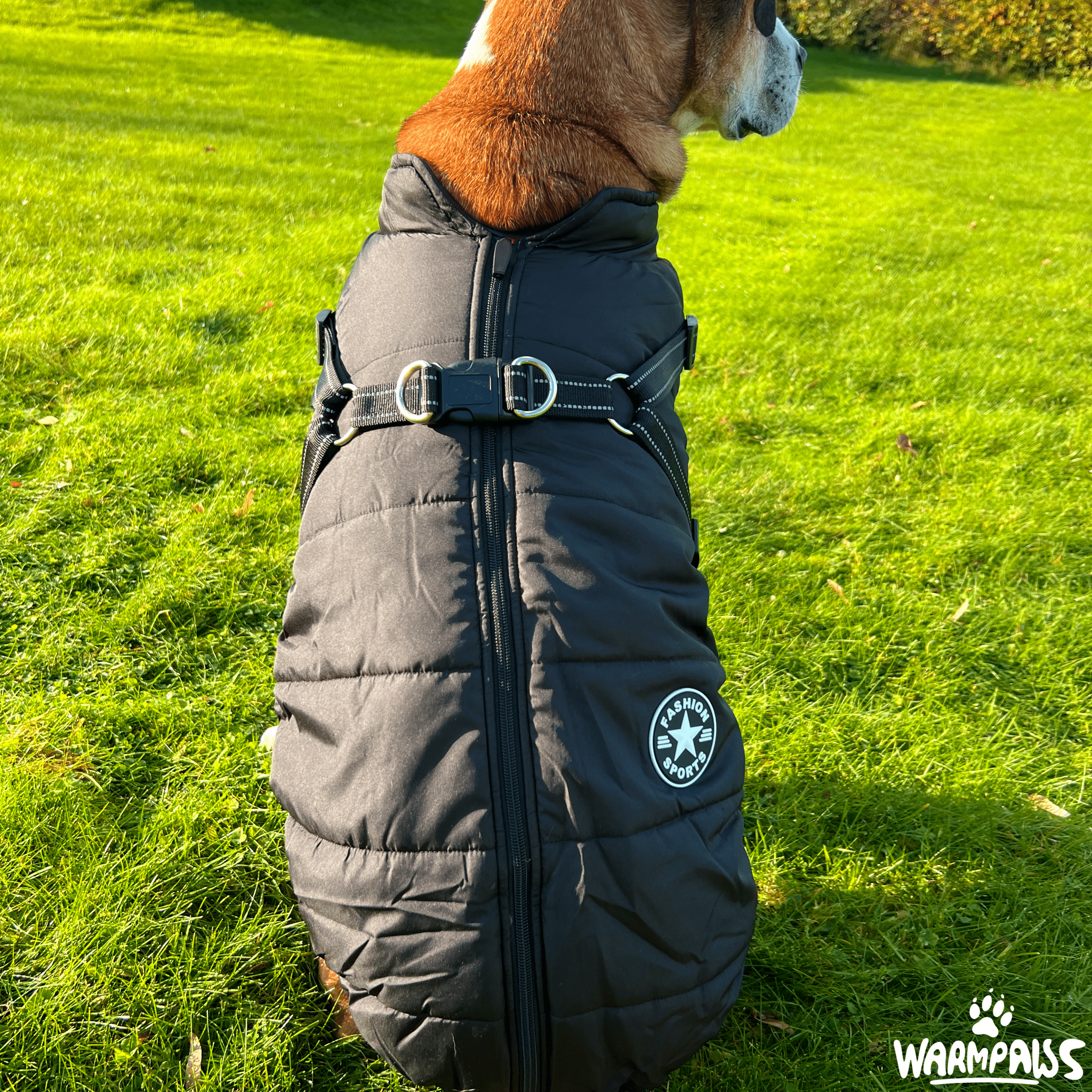WARMPAWS - Der perfekte Winter Hundemantel mit integriertem Geschirr - WARMPAWS