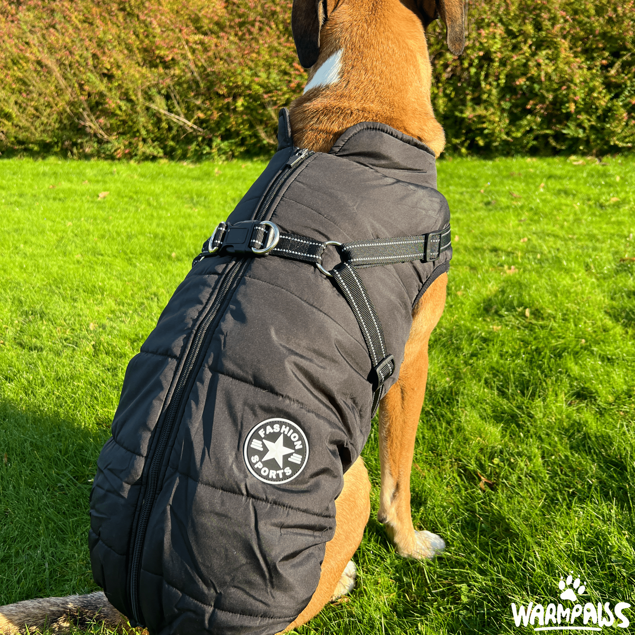 WARMPAWS - Der perfekte Winter Hundemantel mit integriertem Geschirr - WARMPAWS